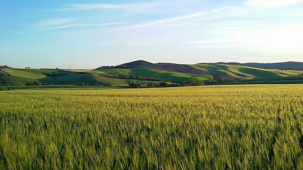Agriturismo L'Impero Santa Luce Exteriör bild