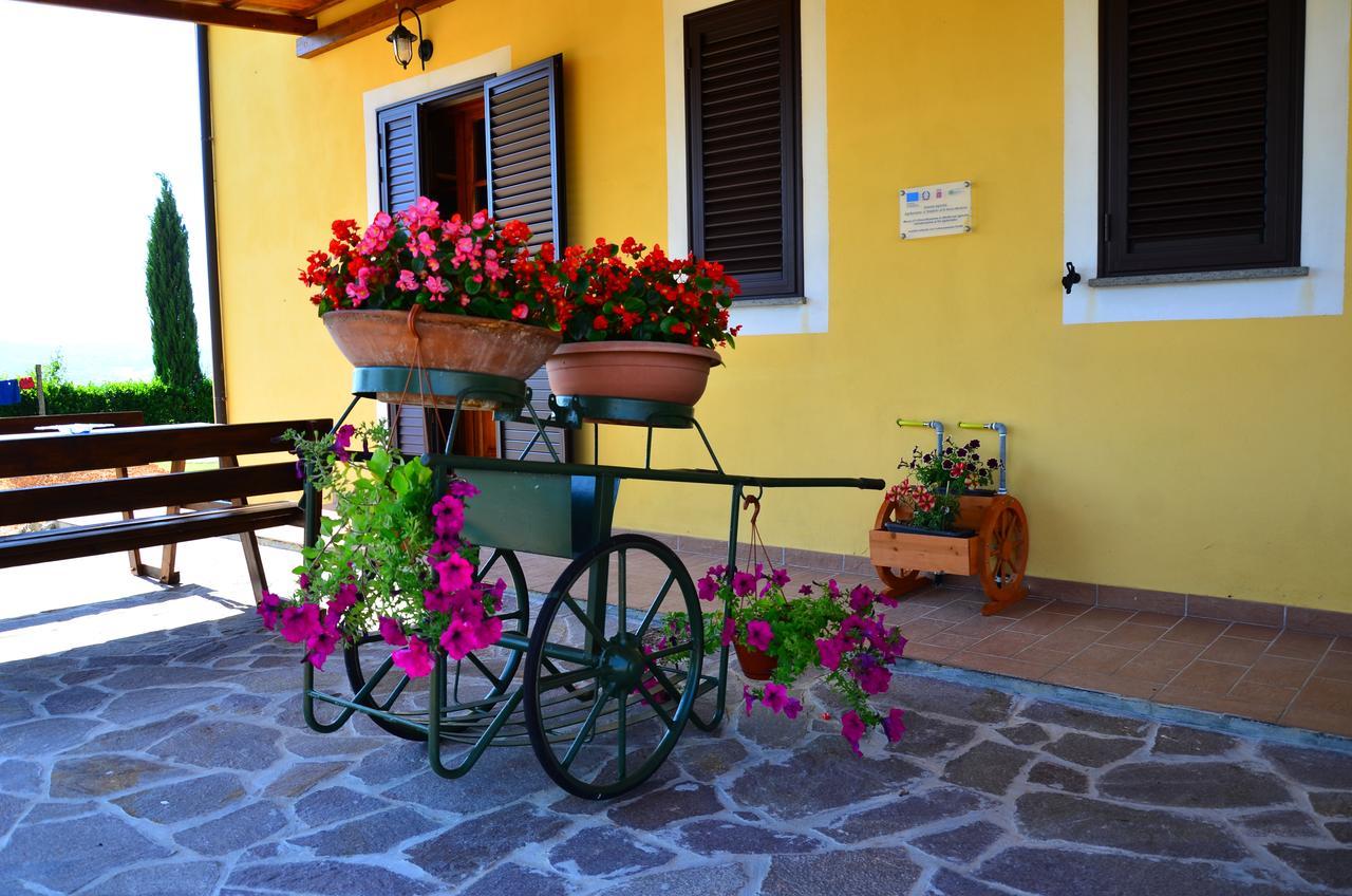 Agriturismo L'Impero Santa Luce Exteriör bild